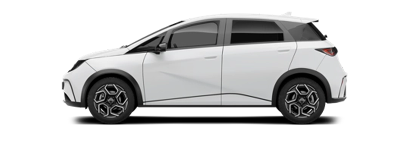 Каре - кардан за byd DOLPHIN