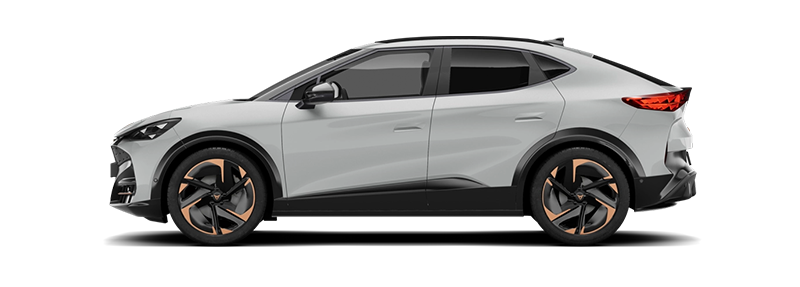 Шенкел за cupra TAVASCAN