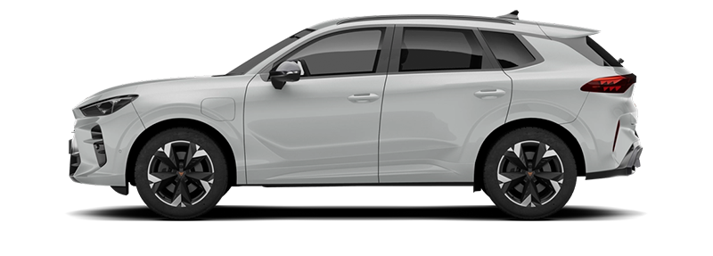 Шенкел за cupra TERRAMAR