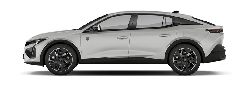 Ауспуси и гърнета за peugeot 408